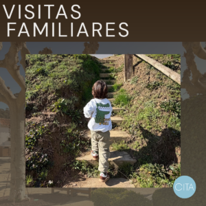 Visitas Familiares