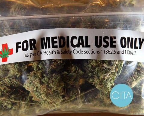 ¿Legalización de la marihuana? 2 cannabis cita 0f1212992adde3f587b42d32cc5a6b35 1