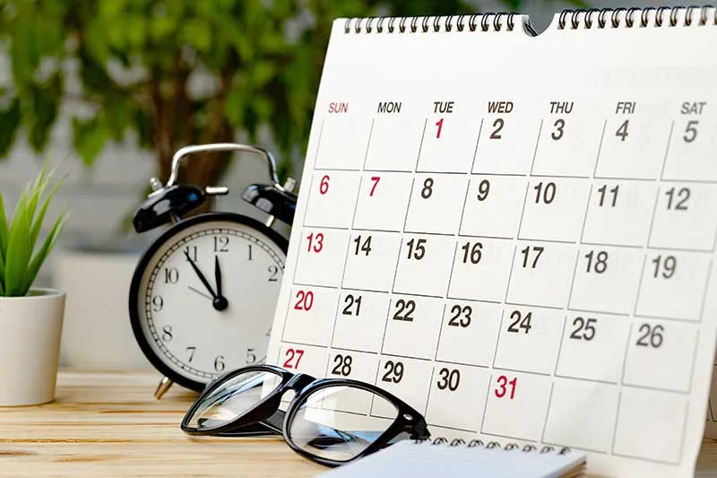 7 semanas y media