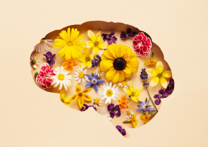 Dia Mundial de la Salud Mental