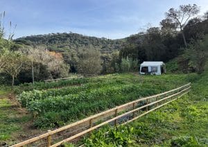 Huerto Clínicas CITA .