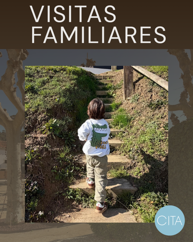 VISITAS FAMILIARES