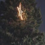 WhatsApp Image 2021 12 16 at 10.14.38 1