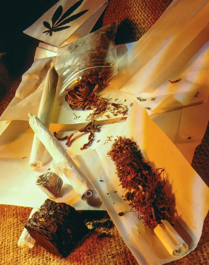 cannabis-02 cannabis 02