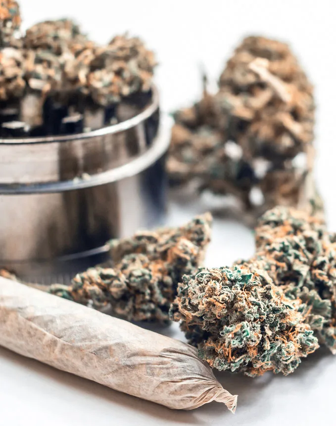 cannabis-03 cannabis 03