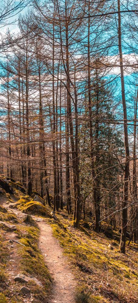 Centro de desintoxicación Guipúzcoa