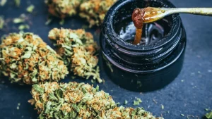 imagen de flores de cannabis junto a rosin