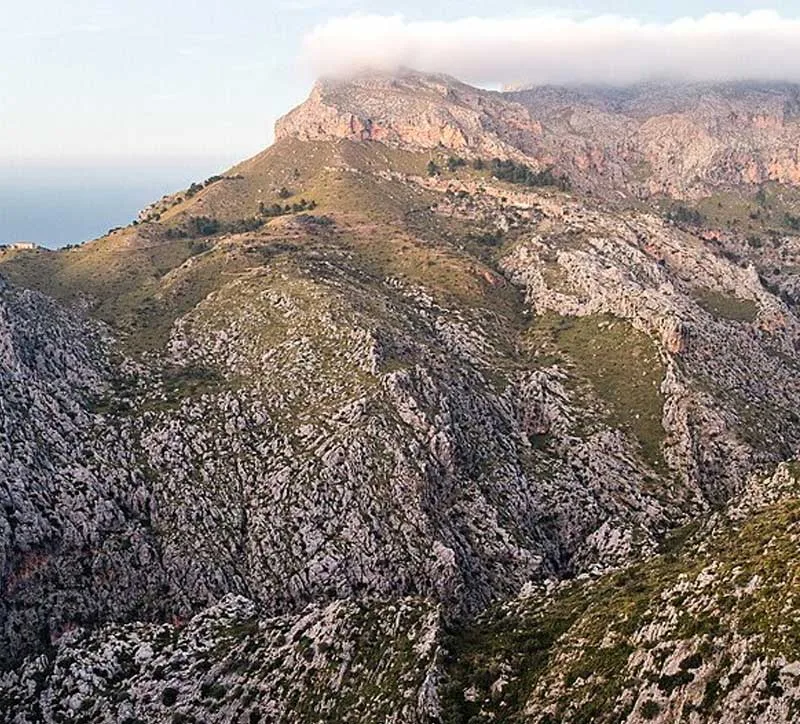 Clínicas CITA Centros 40 mallorca