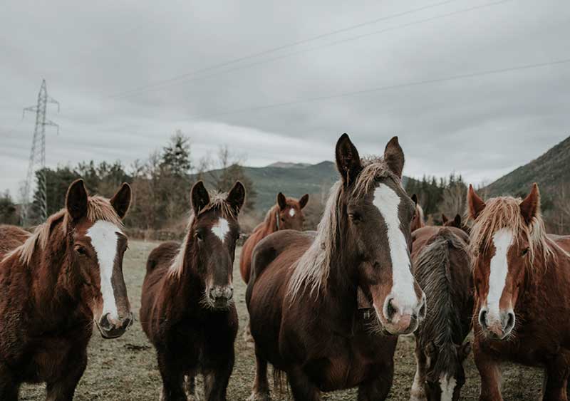Mi último PAE 7 mi ultimo PAE