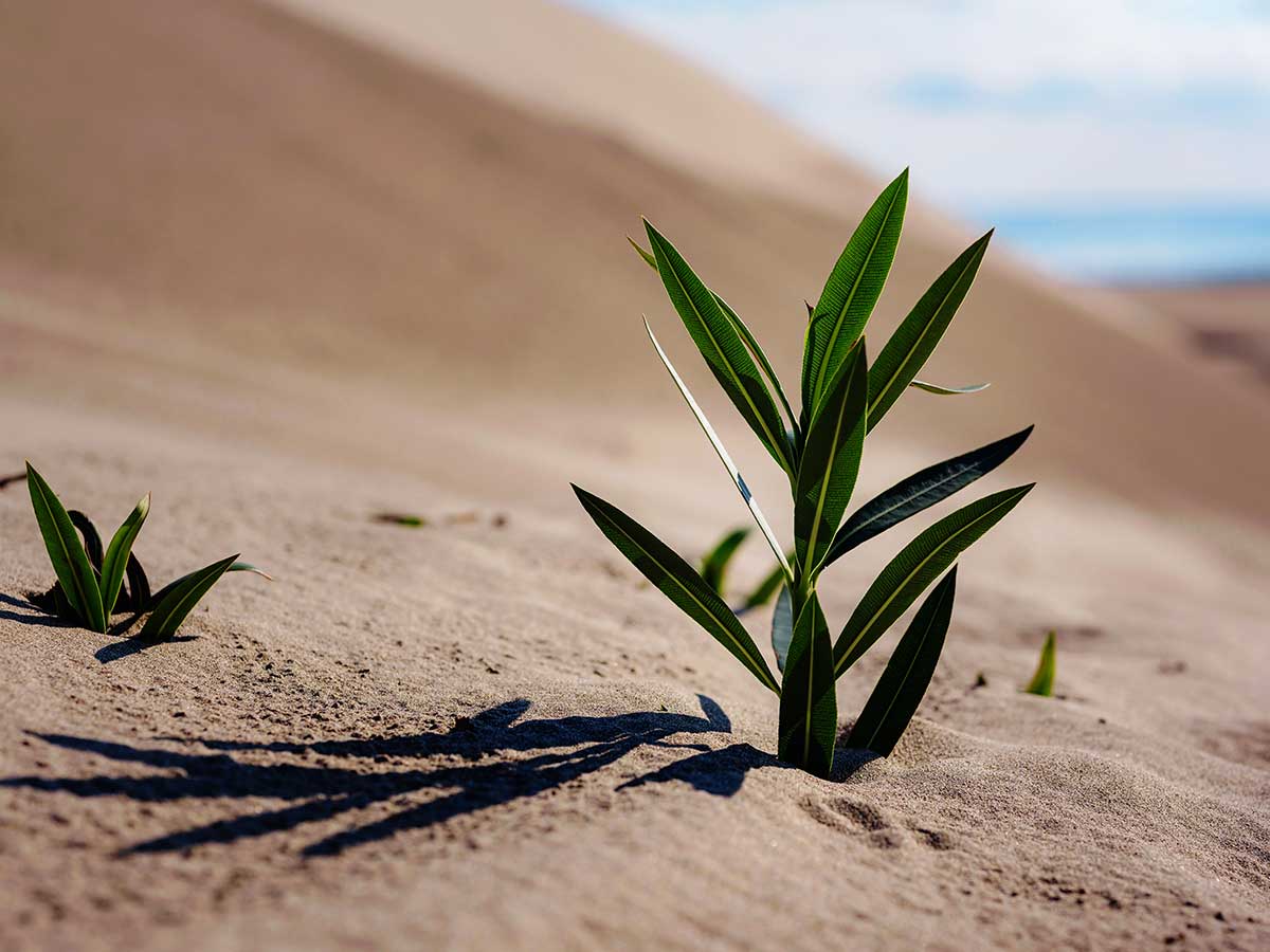 tratamiendo-de-adicciones Tratamiento de Adicciones